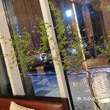 天府三街南堂馆