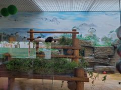 -西霞口神雕山野生动物世界