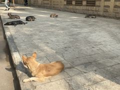 -悬空教堂