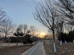 -永定河休闲森林公园