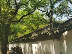 -上海佘山国家森林公园天马山园