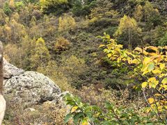 -小五台金河景区