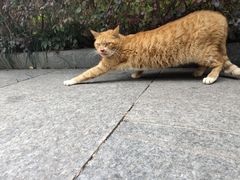 -陆家嘴世纪金融广场