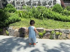 -东明山森林公园