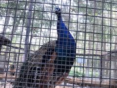 -石家庄市动物园