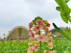 -中国天府农业博览园