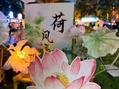 -荷兰花海
