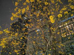 -海底捞火锅(石厦时代广场店)