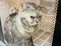 -FAELING PETS美天灵宠物(富力广场店)