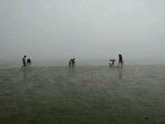 android_upload_pic-刘家湾赶海园