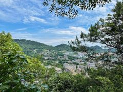 -南山植物园