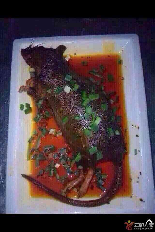 想推荐给更多的快递员."-大众点评移动版