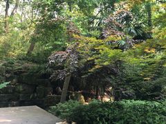 -灵谷景区