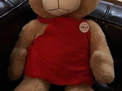 -天津医科大学第二医院