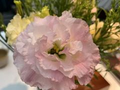 -狮拾久·现代新加坡料理(壹方城店)