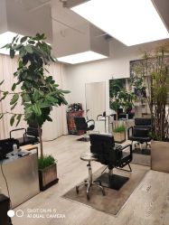 -Hair  Gallery