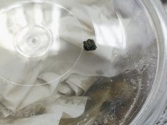 -鹿港小镇(金虹桥国际中心店)