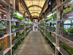 -Ohkajhu Organic Farm Sansai