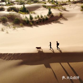 平均年龄8岁，最大17岁