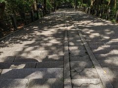 -上海佘山国家森林公园西佘山园