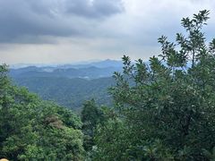-广州市帽峰山景区