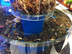 -新海渔港·胶东海鲜家常菜·家宴(奥体中心店)