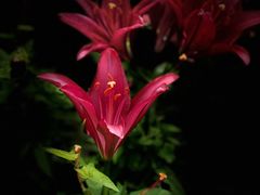 -长春公园(普阳街道)