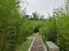 -神光山国家森林公园