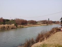 -三垟湿地