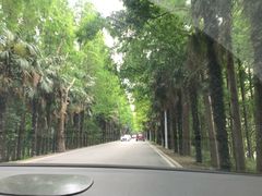 -上海海湾国家森林公园