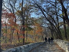 -阳台山自然风景区