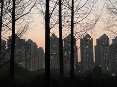 -成都南湖公园