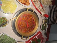 -小龙坎火锅(全球旗舰店)