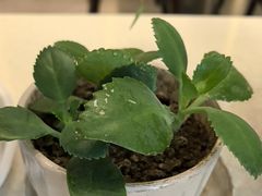 -泉上·发现DISCOVERY ·黔菜餐厅(银海元隆广场店)