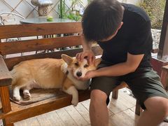 -茶米人台湾料理·精致快简餐
