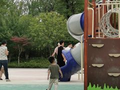 -映月湖中央公园