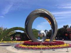 -大兴滨河森林公园