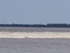 -观潮胜地公园