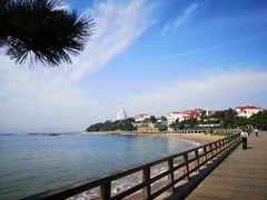 -青岛海滨风景区