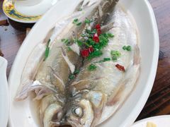 太湖白鱼-太湖好灶头土菜馆(石公路店)