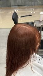 点击看大图 -斑斓色彩沙龙