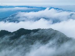 -鼎湖山风景区