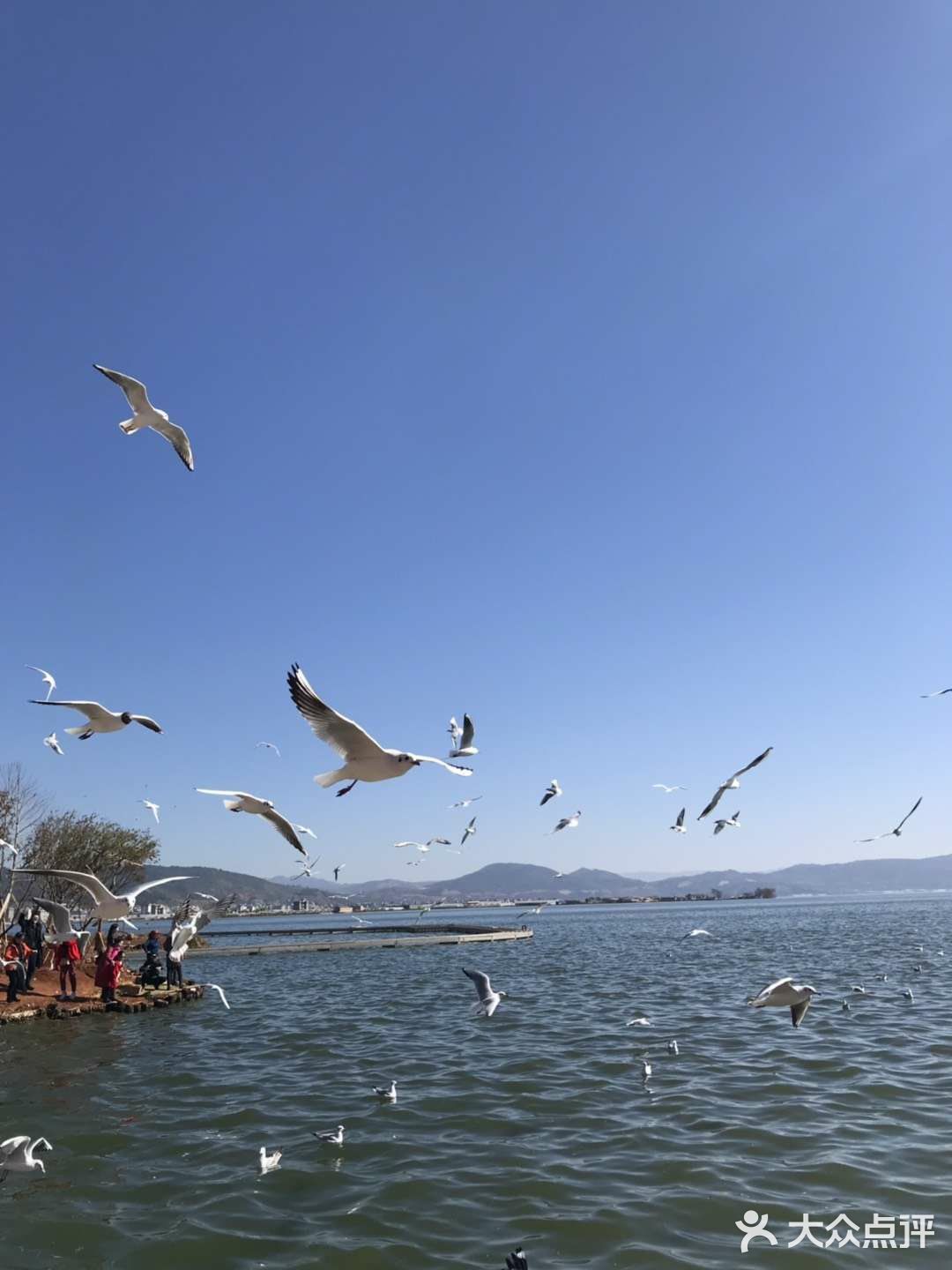 纳古镇小海公园
