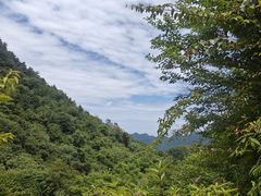 -九皇山景区