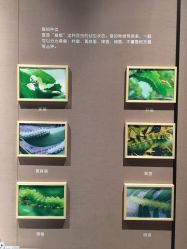 -太湖雪蚕桑文化园