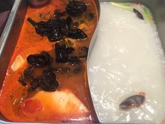-新辣道鱼火锅(领展购物广场·中关村店)