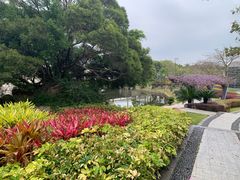 -厦门国家会计学院