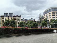 -金鸡山公园