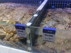 -开海·红岛海鲜虾水饺(石老人店)