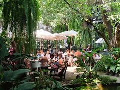 -Fern Forest Cafe